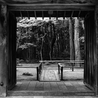 高桐院 Koto-in, Kyoto Temple Gate Wabi Sabi Wood Bamboo Path A. Henry Rose UTSOA University of Texas Austin School of Architecture Japan Japanese 35mm Film Photography 日本