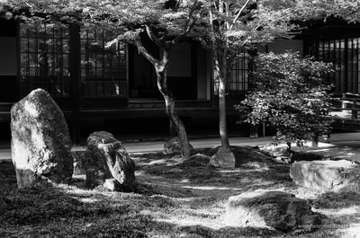 建仁寺   Kinnen-ji, Kyoto Temple Courtyard Garden Maple Trees Sunlight Moss Rocks komorebi 木漏れ日　A. Henry Rose UTSOA University of Texas Austin School of Architecture Japan Japanese 35mm Film Photography 日本