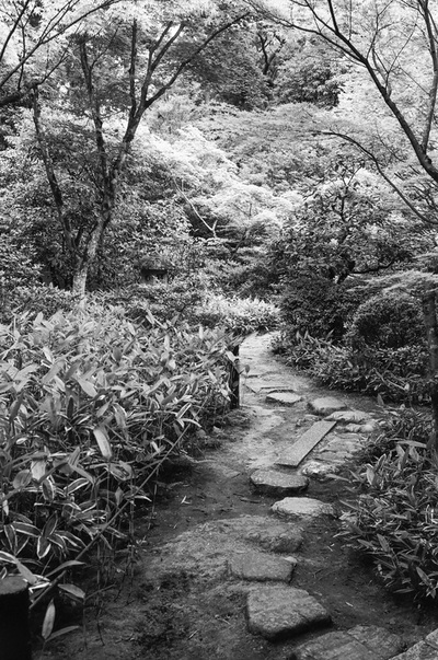高桐院 Koto-in, Kyoto Japanese Temple Garden Path Maple Tree A. Henry Rose UTSOA University of Texas Austin School of Architecture Japan Japanese 35mm Film Photography 日本