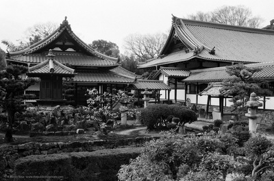 興聖寺 Kosho-ji, Uji, Japanese Temple Architecture A. Henry Rose UTSOA University of Texas Austin School of Architecture Japan Japanese 35mm Film Photography 日本