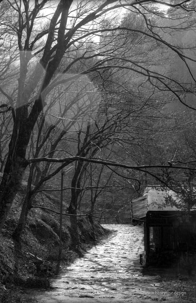 walking path in takao kyoto japan in rain in december black and white 35 film aaron henry rose フィルム　日本　京都　高雄  