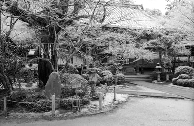 saimyo-ji saimyoji japanese temple in december with snow black and white 35 film aaron henry rose フィルム　日本　京都　西明寺